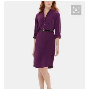 The Limited Ashton Shirtdress